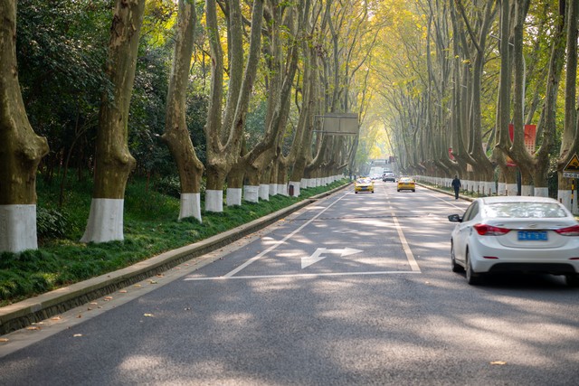 大帝直播截图预览4