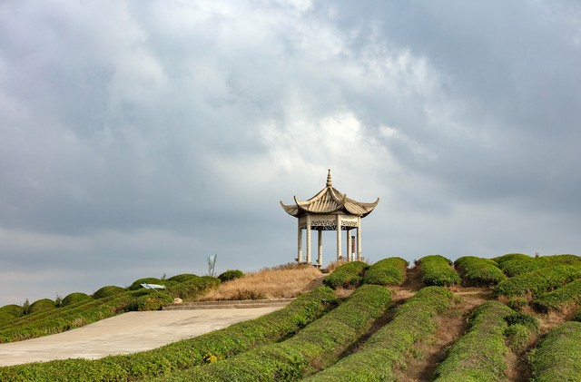 虚拟流媒体平台