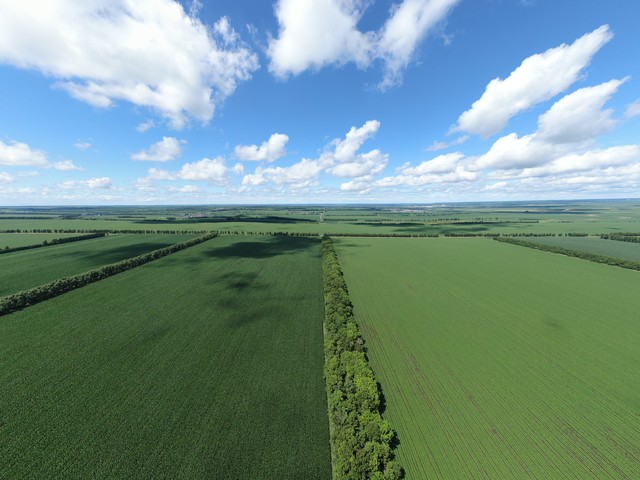 极速分享解决方案