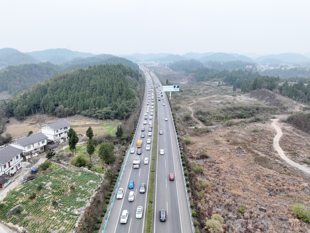 奇团直播