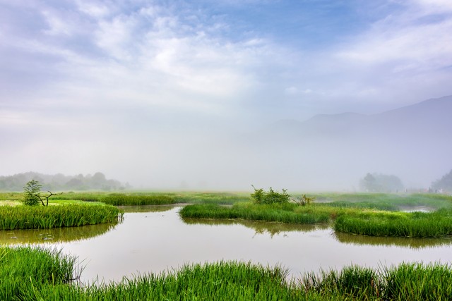 一禾直播截图预览1