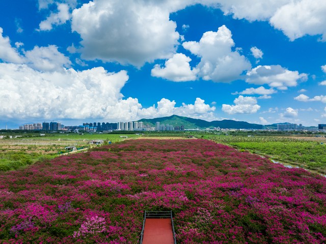 极速聊天端