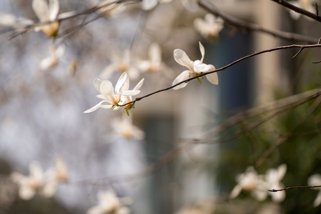 心和直播截图预览1