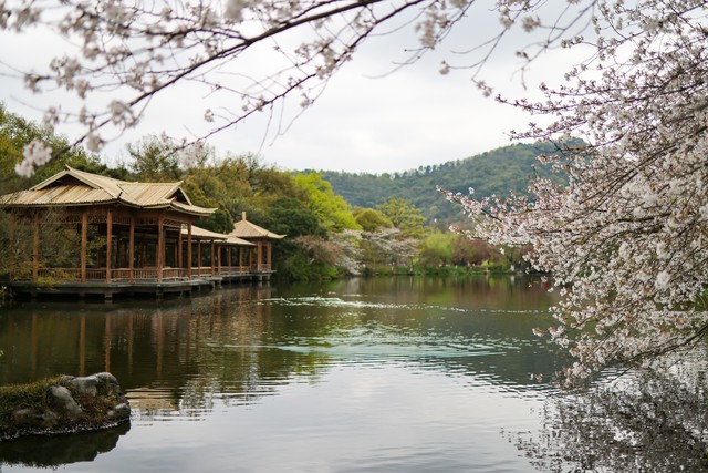 易用监控库