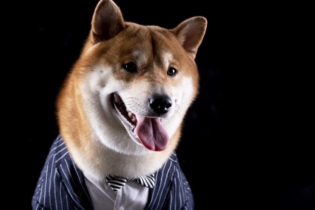 全乐直播截图预览1