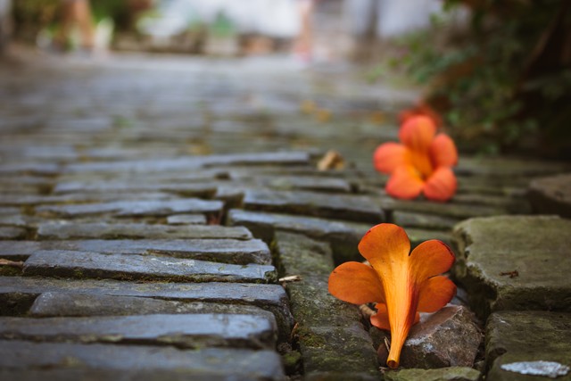 茶电直播截图预览3