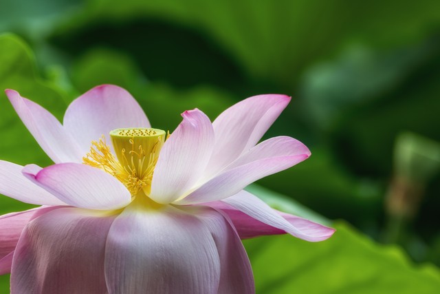 虾蛄直播截图预览2