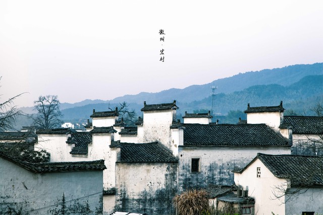 云娇直播