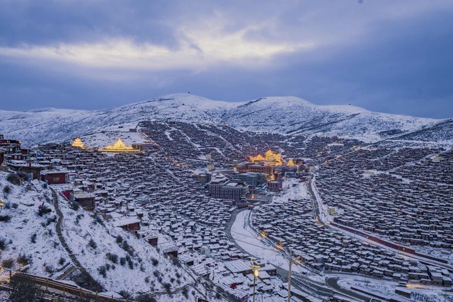 精准编程解决方案