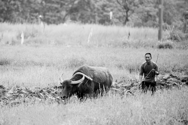 绿姿直播截图预览0