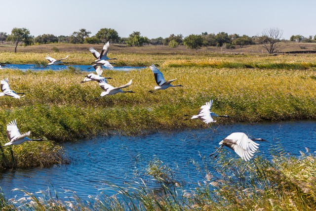 春桃直播截图预览0
