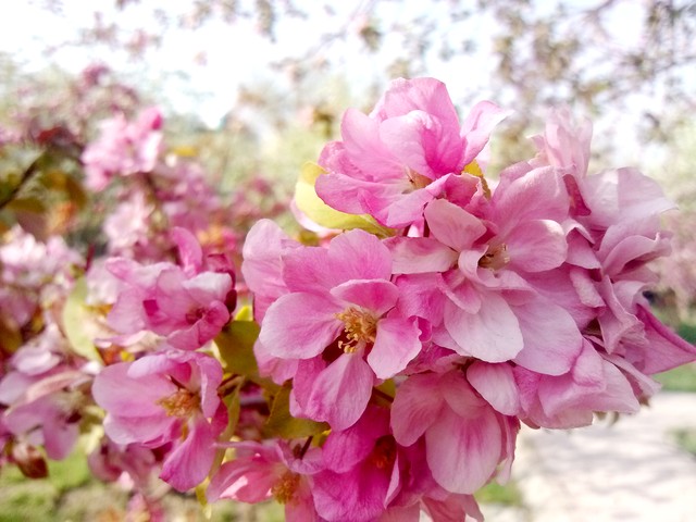 星座直播截图预览3