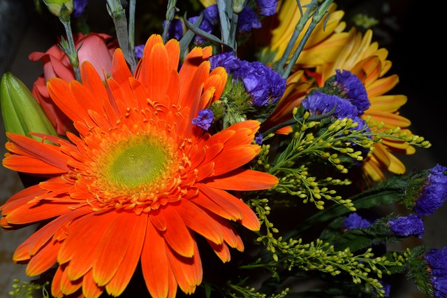 百丽直播截图预览1