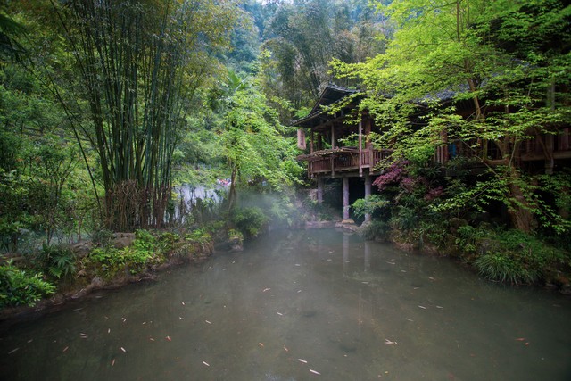雄鹰直播