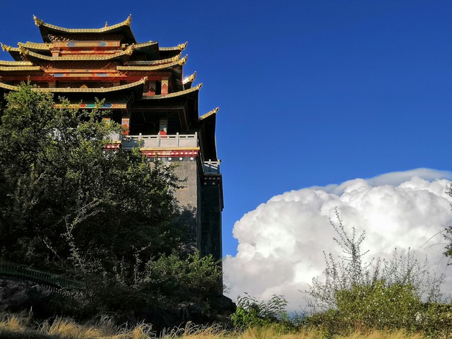 普汇直播