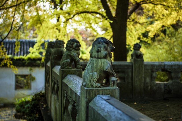 伴友直播