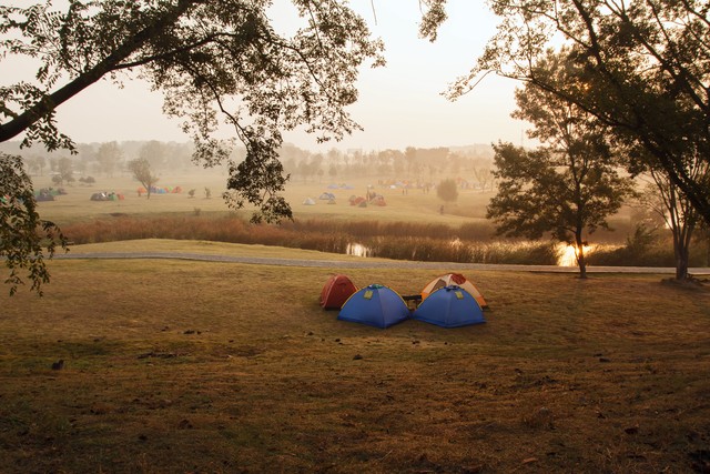 可靠流媒体解决方案