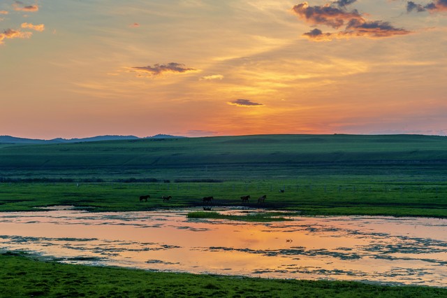 抖陌直播截图预览0