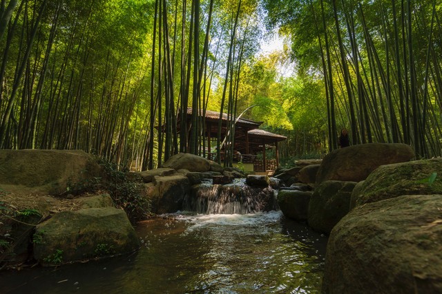 绿姿直播截图预览2