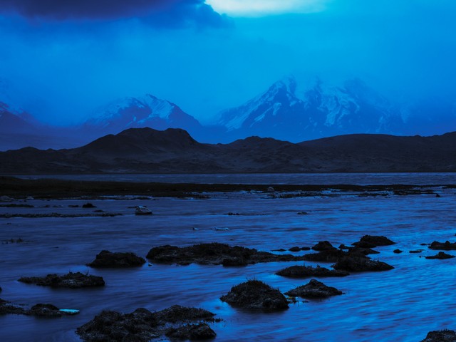 魅影平台怎么直播