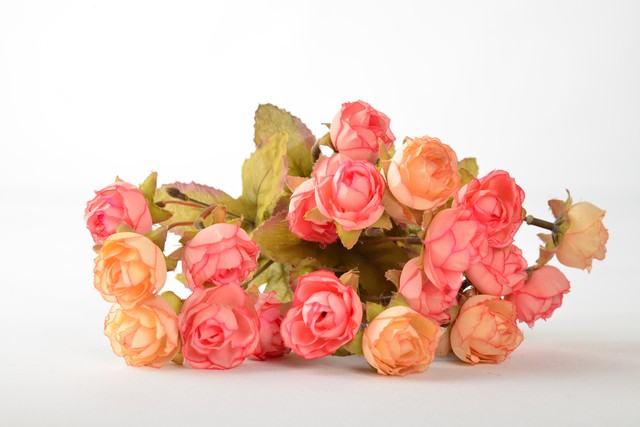 丁童直播截图预览2