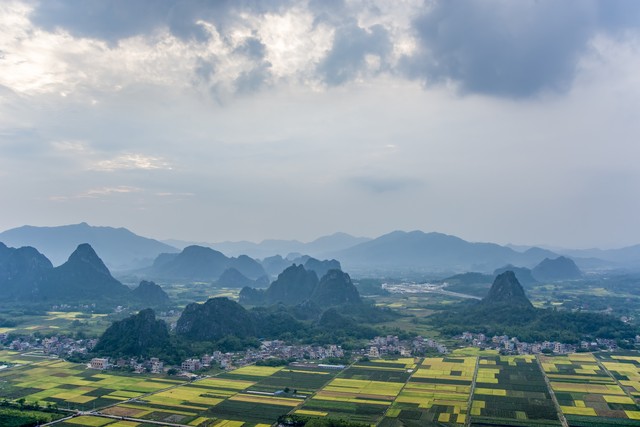 网易编辑门户