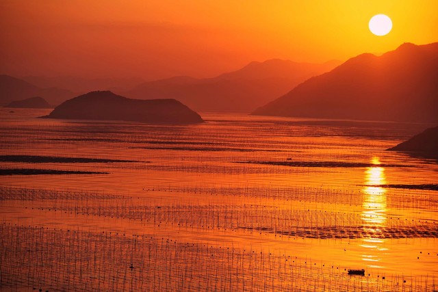 碧婷直播截图预览3