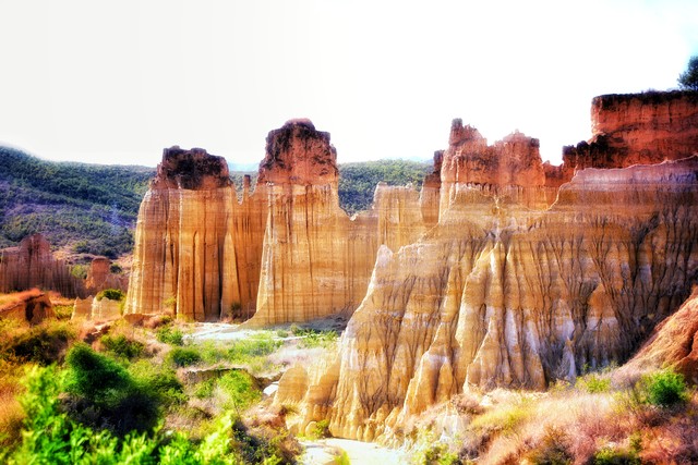 音符直播截图预览4