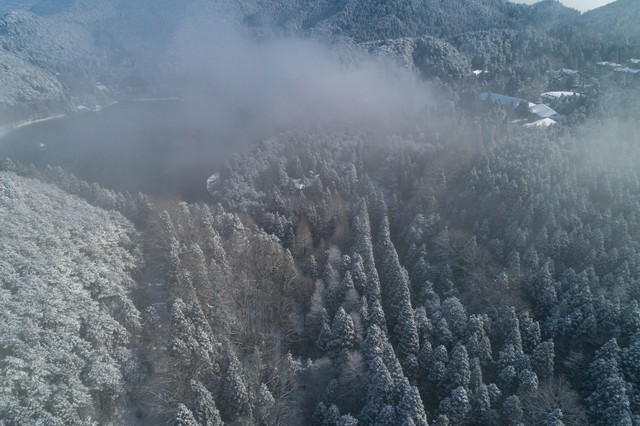 香芋直播截图预览2