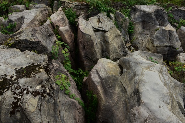 智能编程解决方案