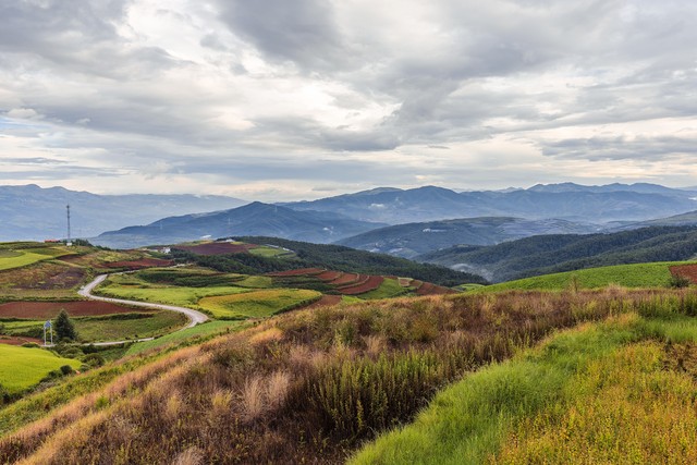 云夜直播截图预览4