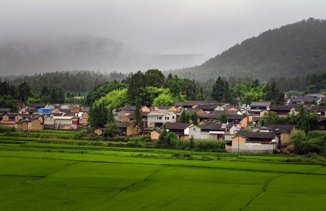 杨硕直播