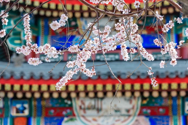 晴朗直播截图3
