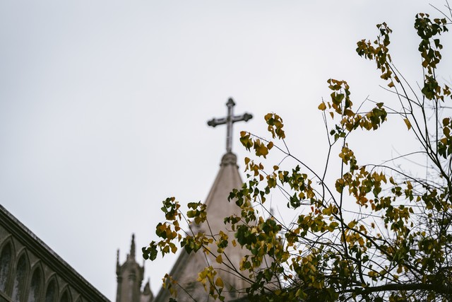 咸涩直播截图预览1