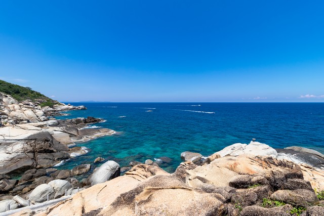 全乐直播截图预览3