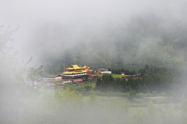 可靠流媒体模块
