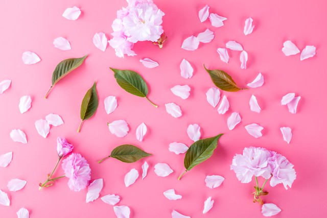 百色直播截图预览0