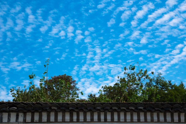 图片報：利物浦阿森纳有意帕乔，红军想今夏就买他后租回法兰克福-