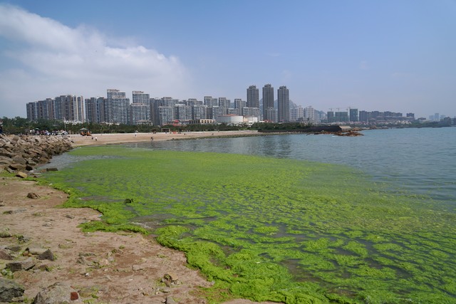 先进办公框架