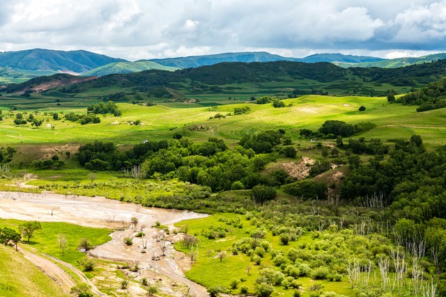 花荼直播截图预览3