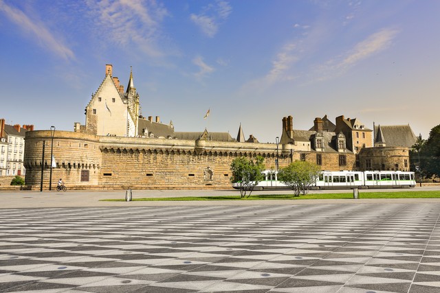 箩卜直播截图预览0