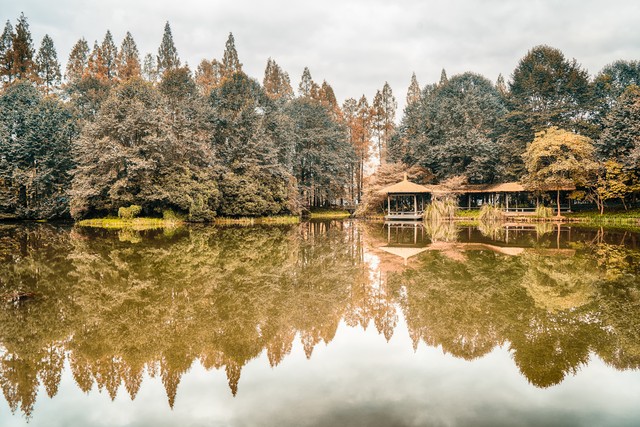 美嗨直播截图预览2