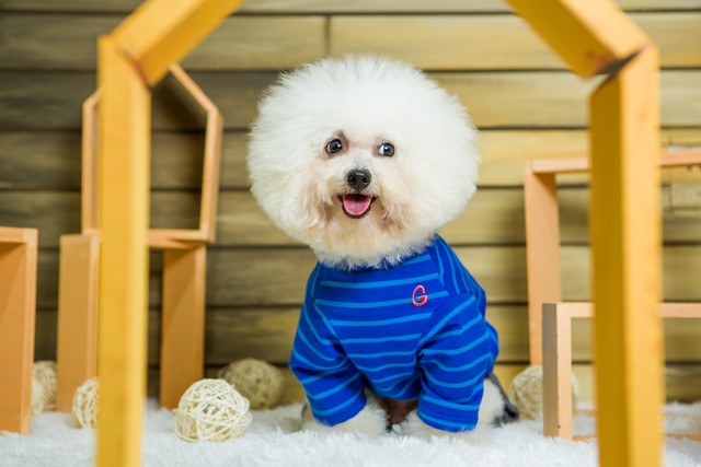 记者：巴萨已通知阿劳霍下赛季会重用他，只有報价够高才考虑卖他-