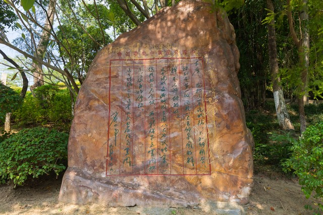 枚槐直播