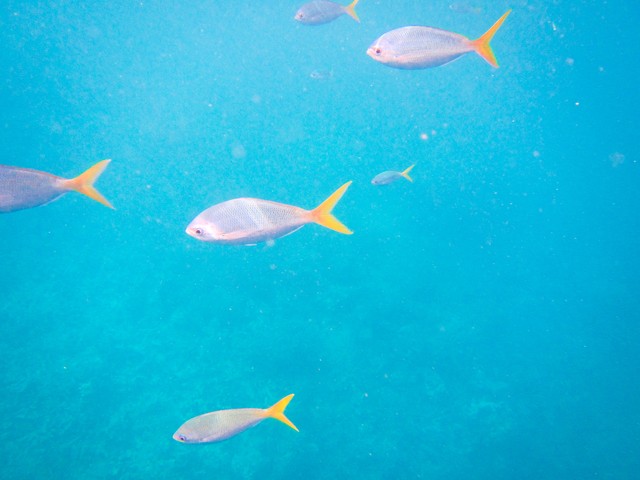 火三直播截图预览4