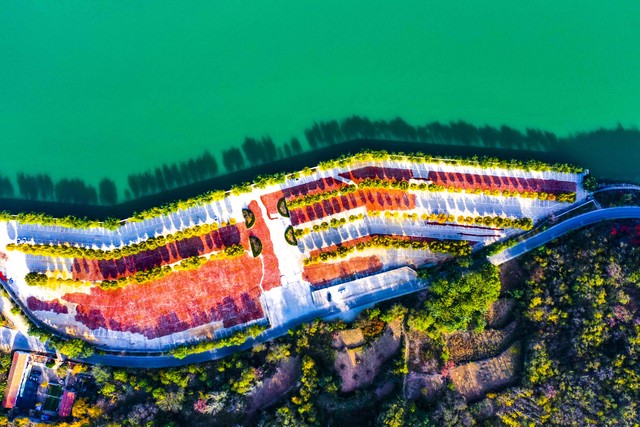 曼妮直播截图预览4