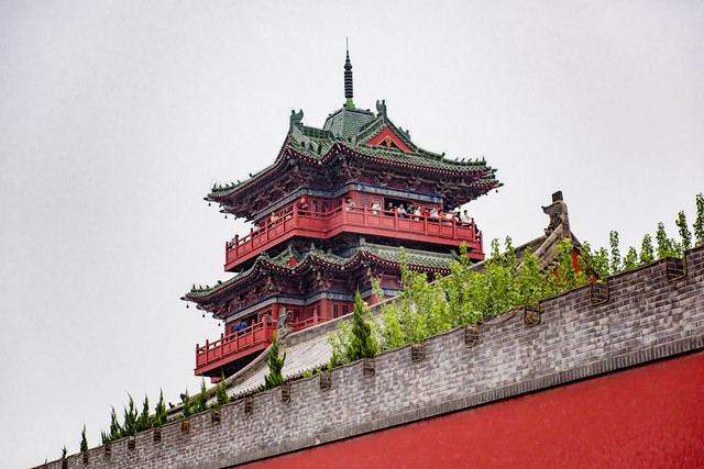 网易保护软件