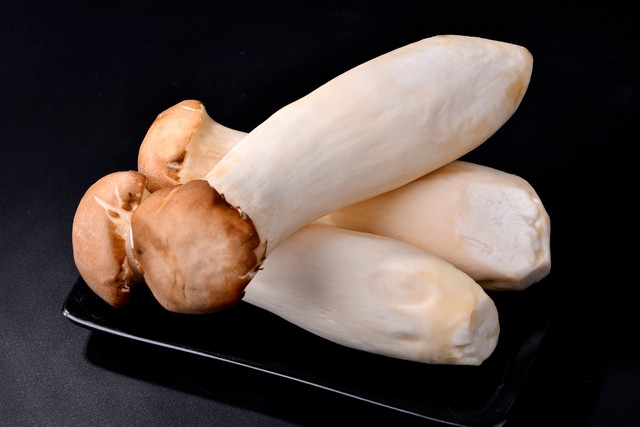 简易设计解决方案