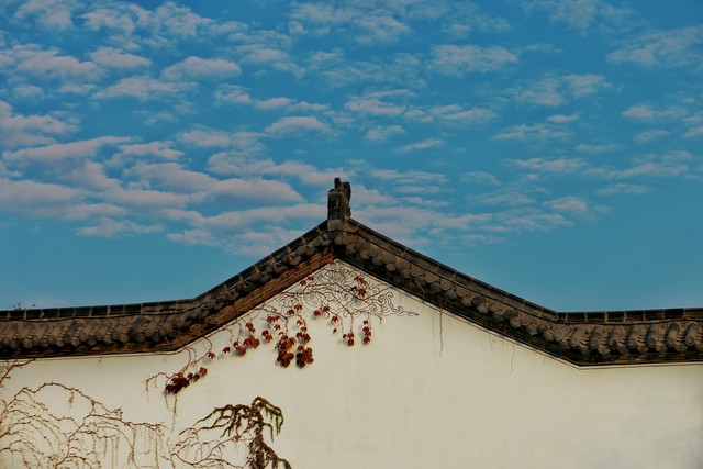 美诺直播截图0