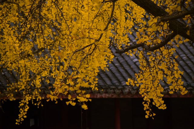 美嗨直播截图预览3